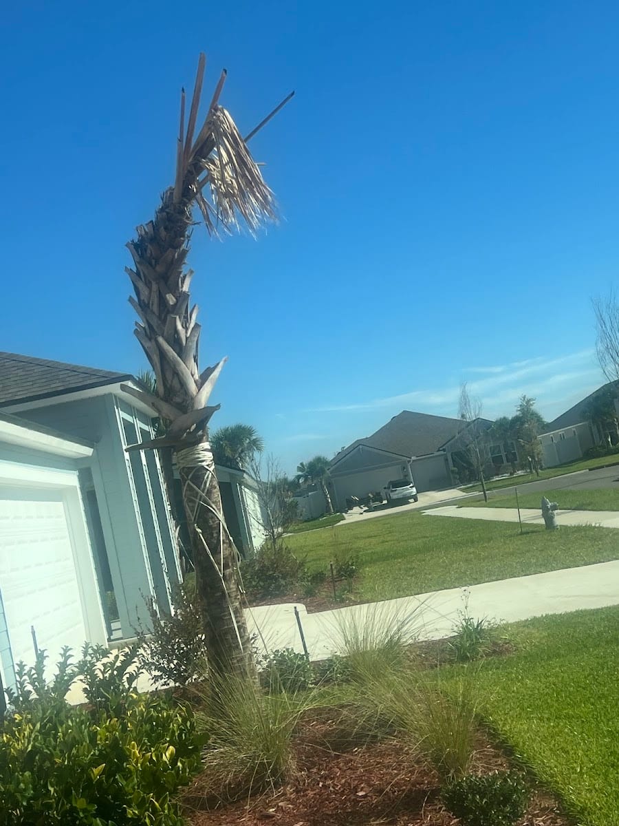 Southern Scapes Inc.