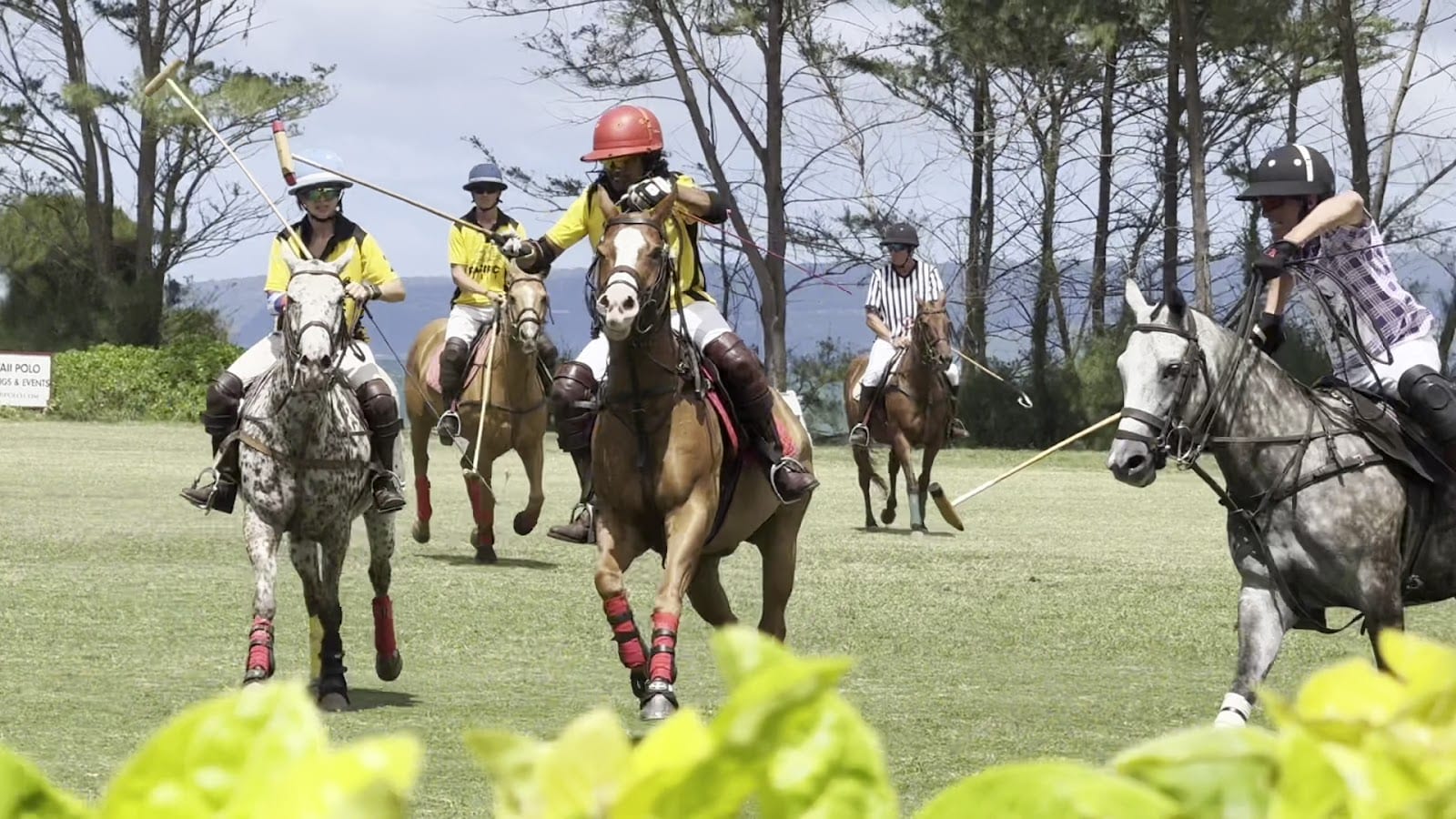 Hawaii Polo Club, photo 3