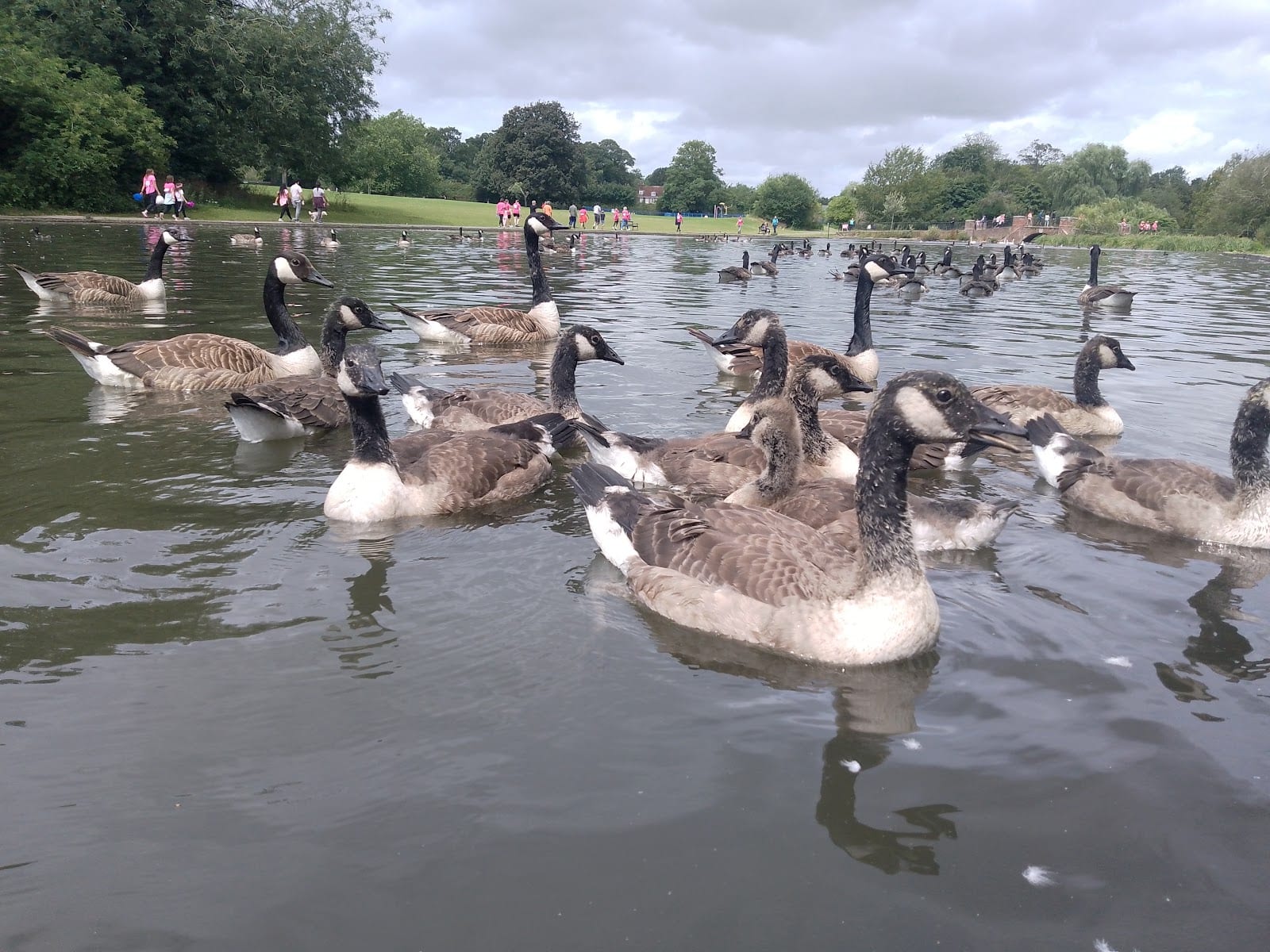 Model Boating Lake, photo 3