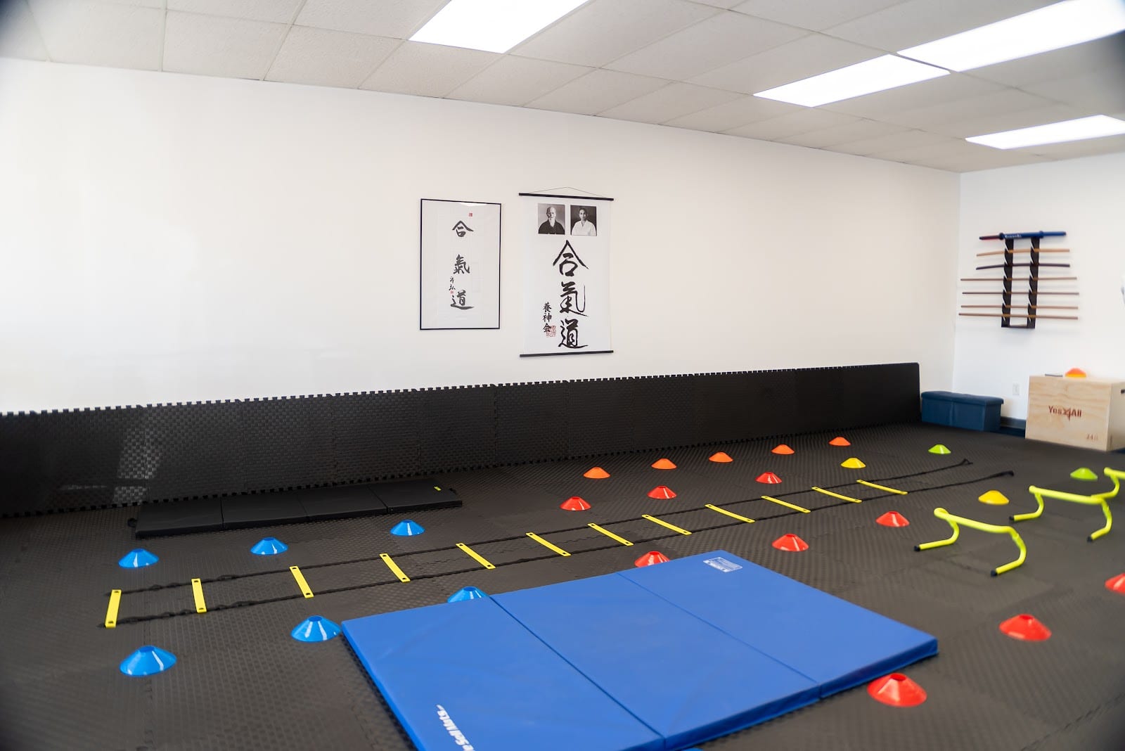 School of Aikido Yoshinkan