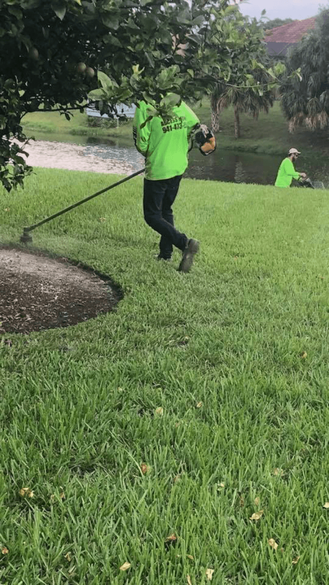 Envious Lawn and Landscape LLC, photo 3