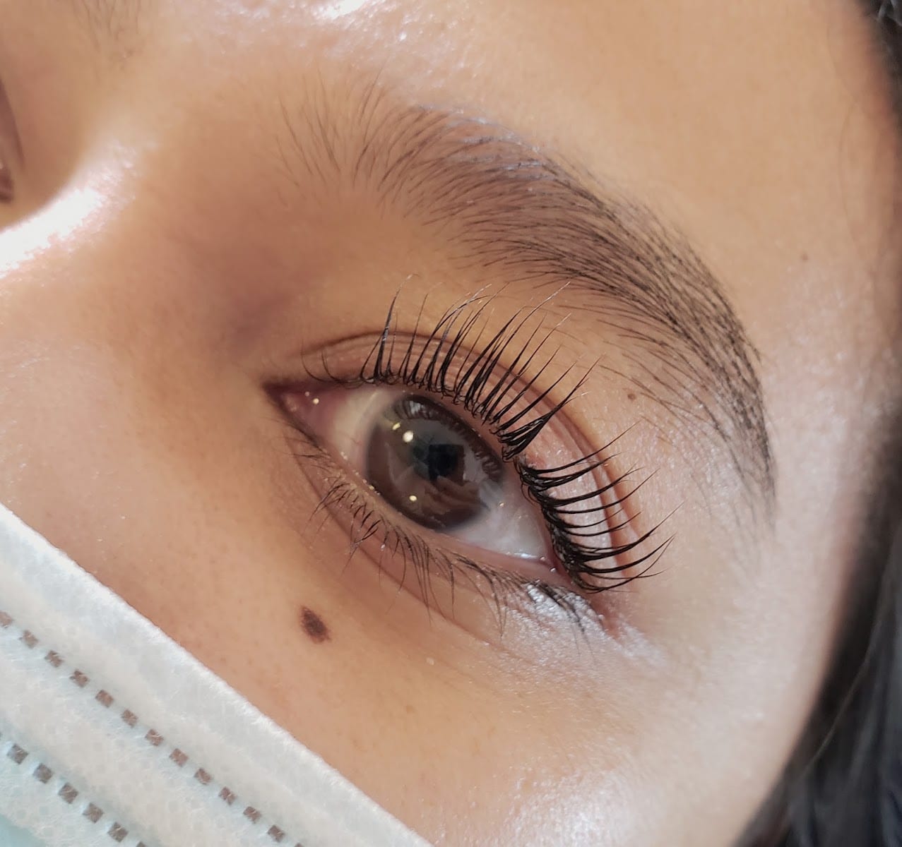 Lash Love
