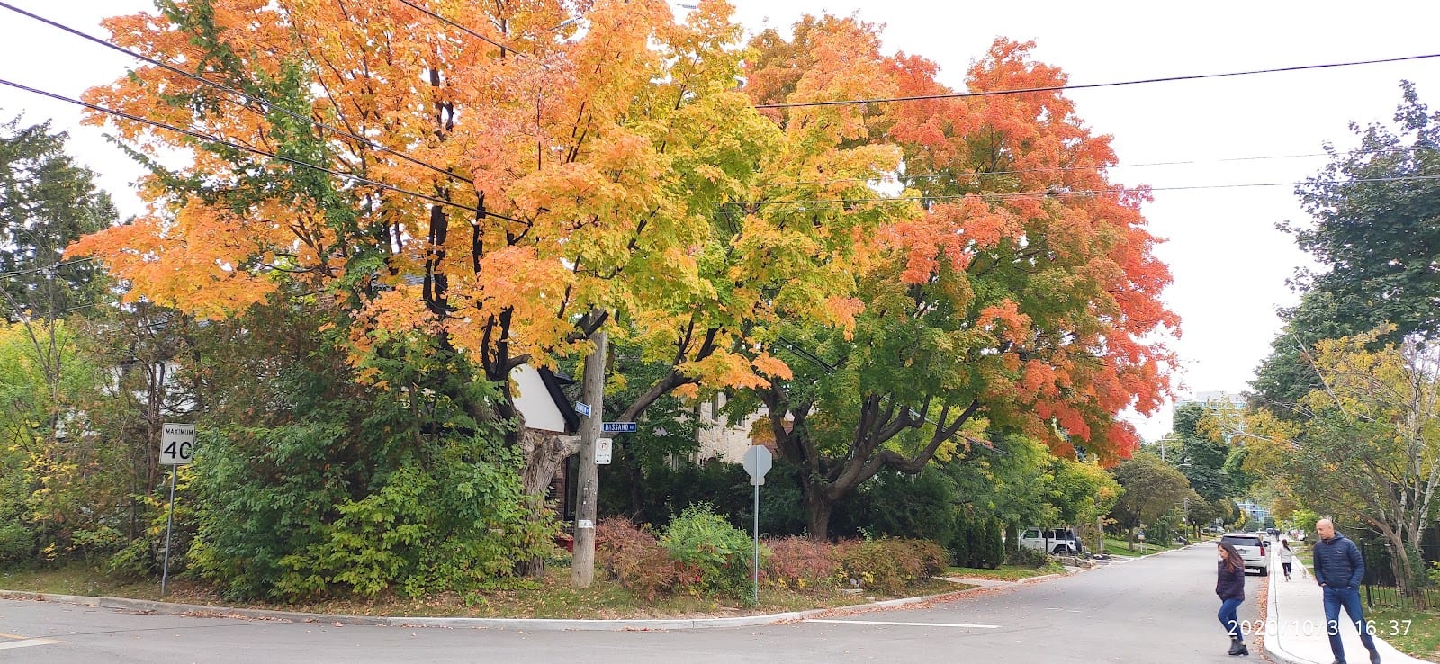 Stuart Greenbelt, photo 3