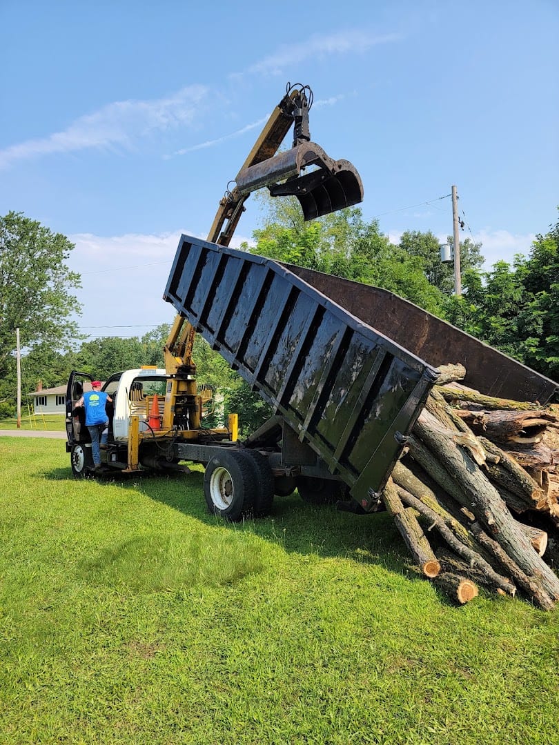 Shepard's Tree Removal, photo 4