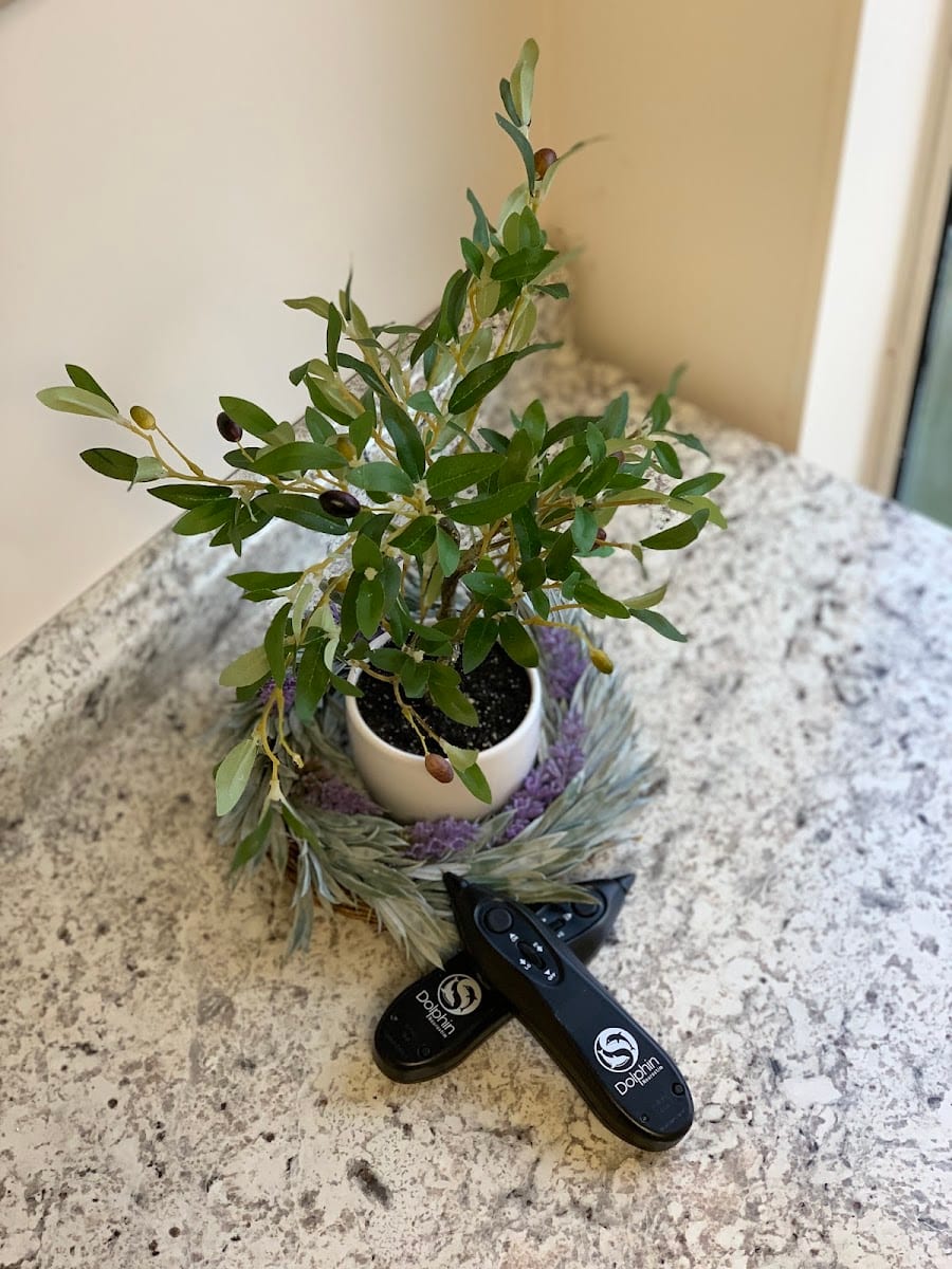 Olive Tree Physical Therapy, LLC, photo 4
