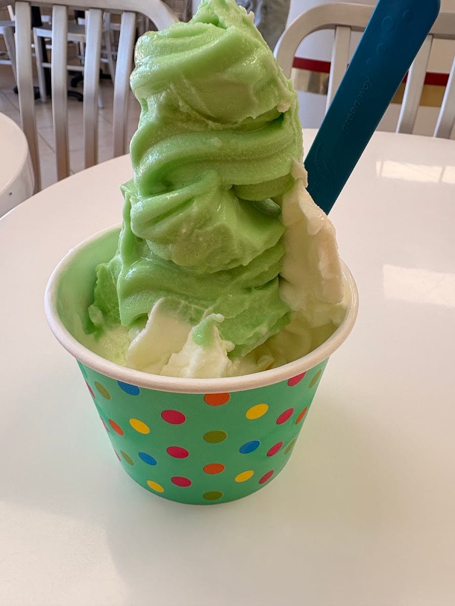 Yogurt America's Cup