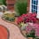 Lake Cities Landscaping