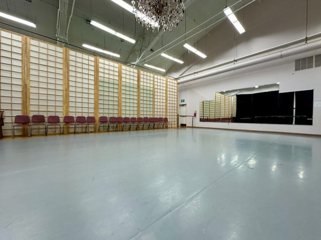 Ballet Aligned, photo 2