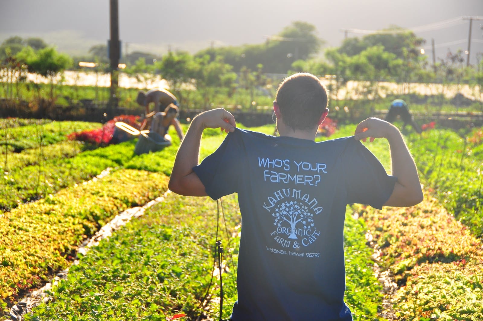 Farm Tours at Kahumana Organic Farms & Cafe, photo 4