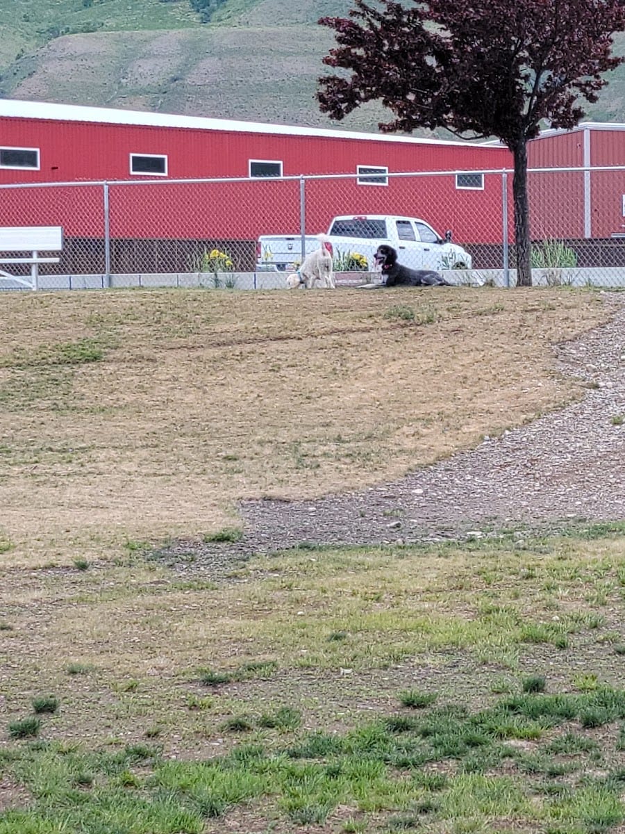 Blacksmith Fork Dog Park, photo 3