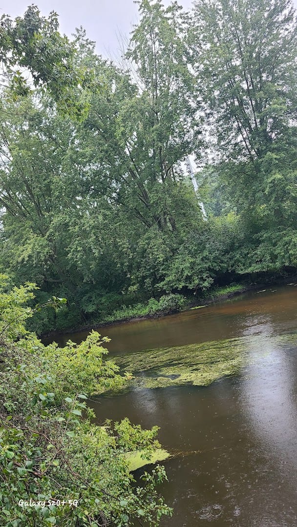 Horseshoe Bend Park, photo 2