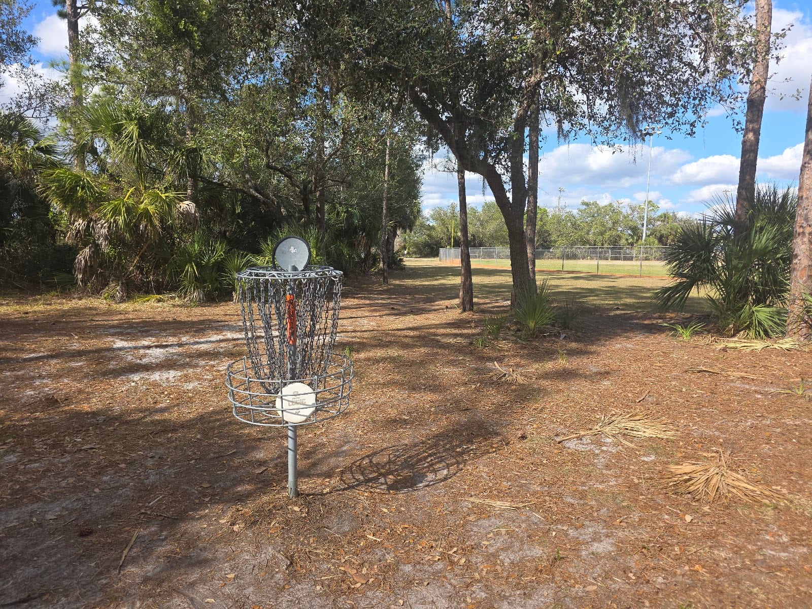 Disc Golf Goal #15 - Centennial Park, photo 3