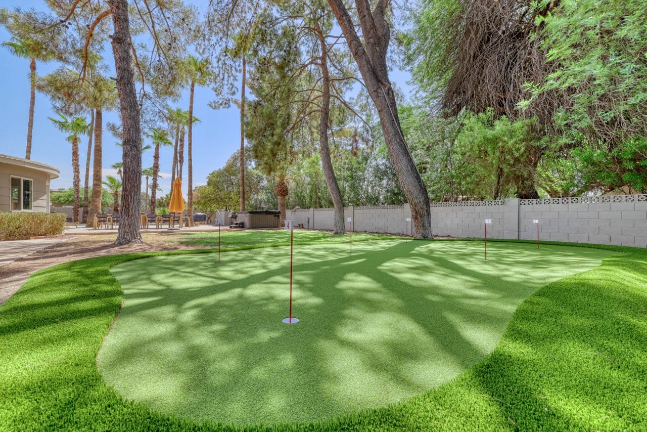 Premier Artificial Turf