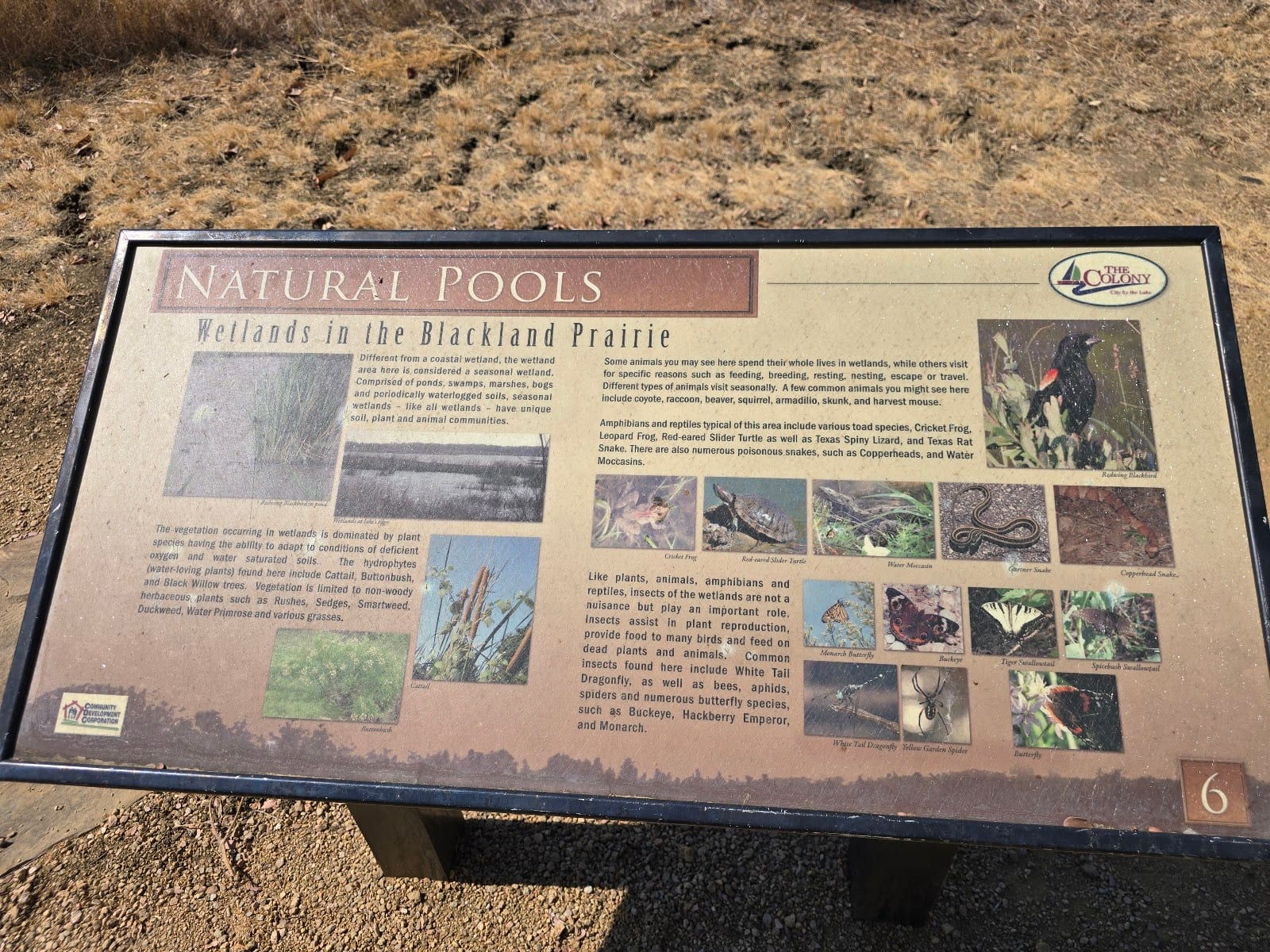 LV trailhead, photo 3