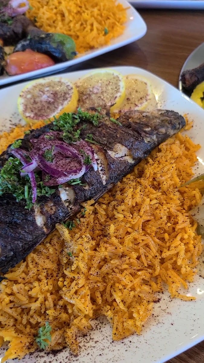Dubai Cafe & Grill, photo 2