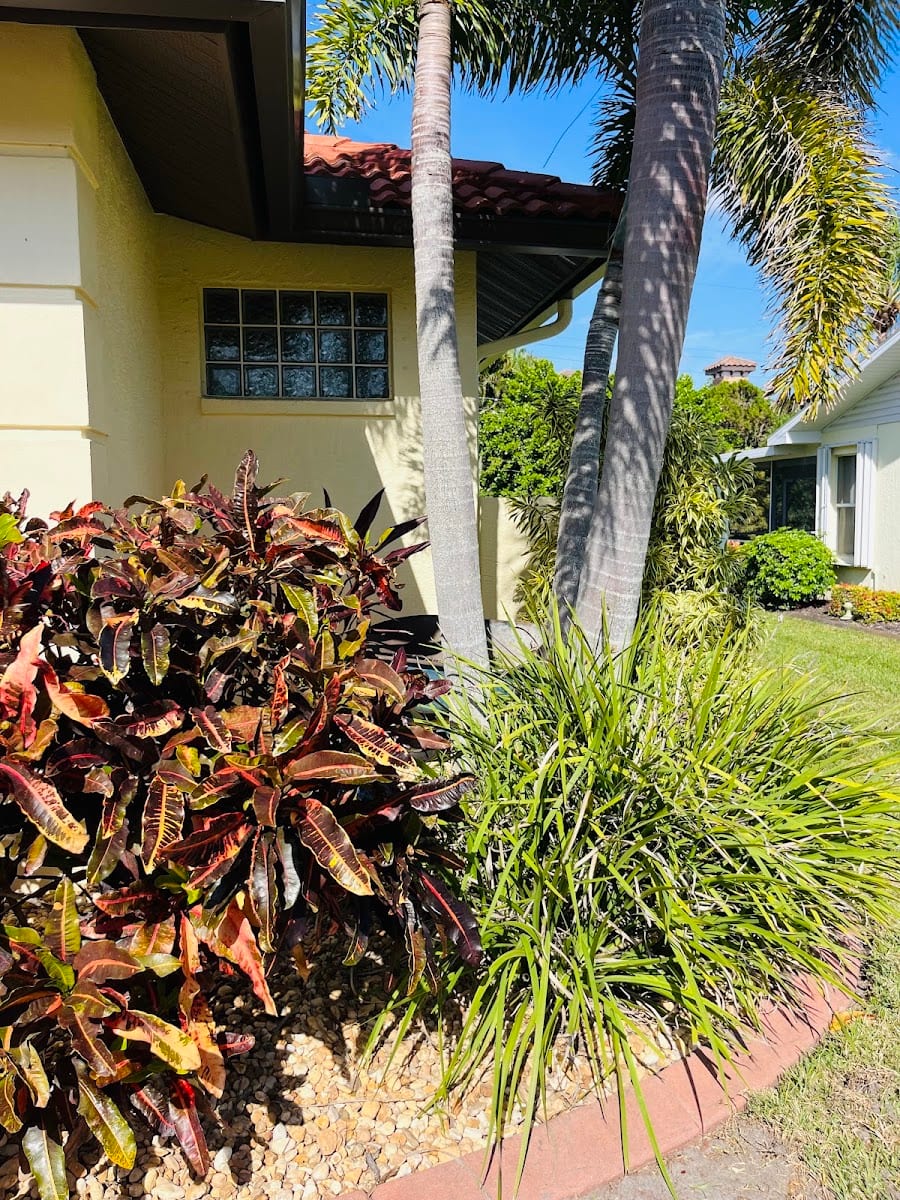 Yard Corps Lawn Care and Landscape