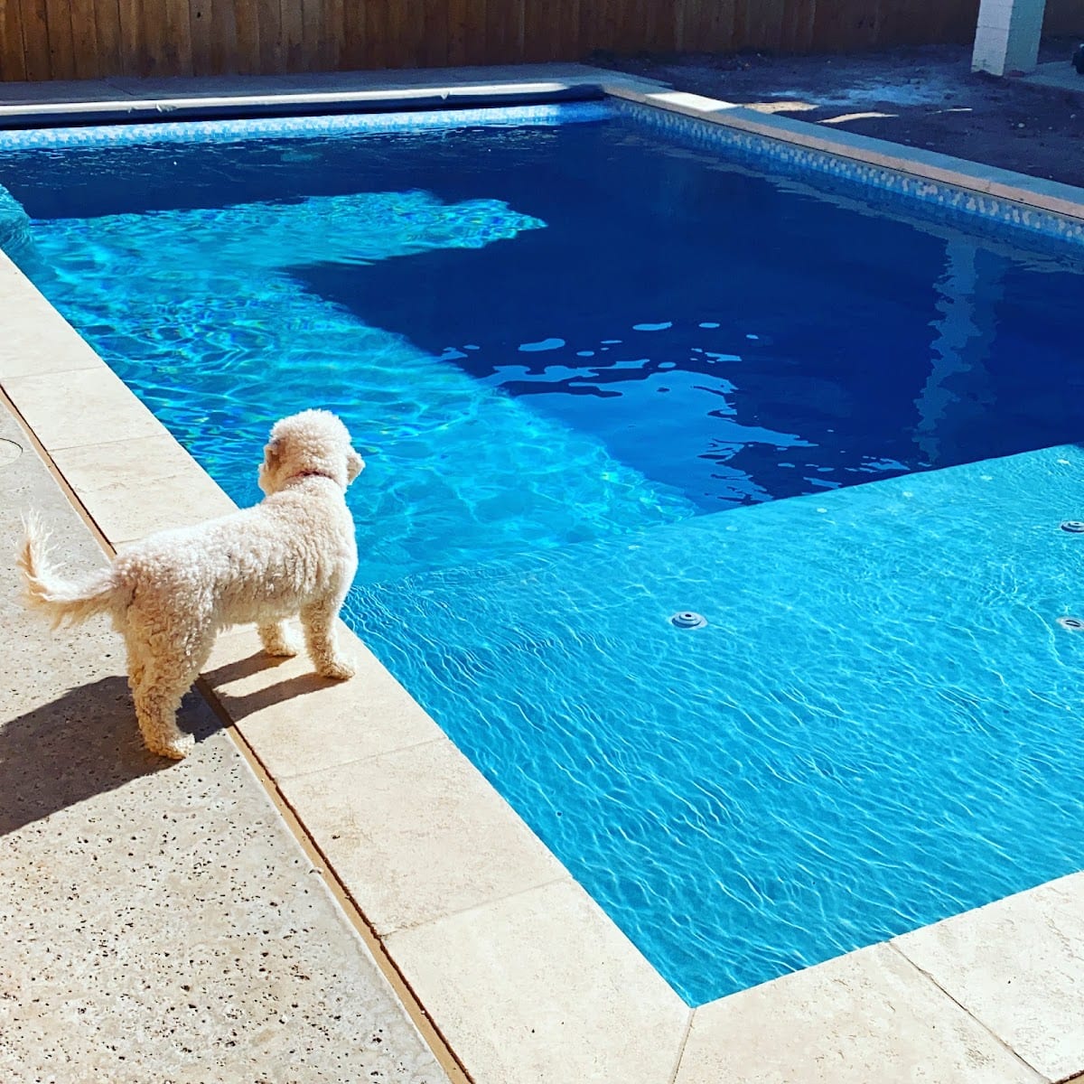 Destiny Pools, photo 3