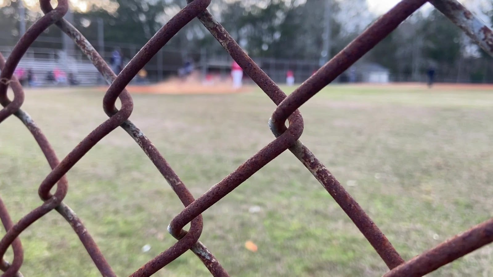 Trimmier Park, photo 2