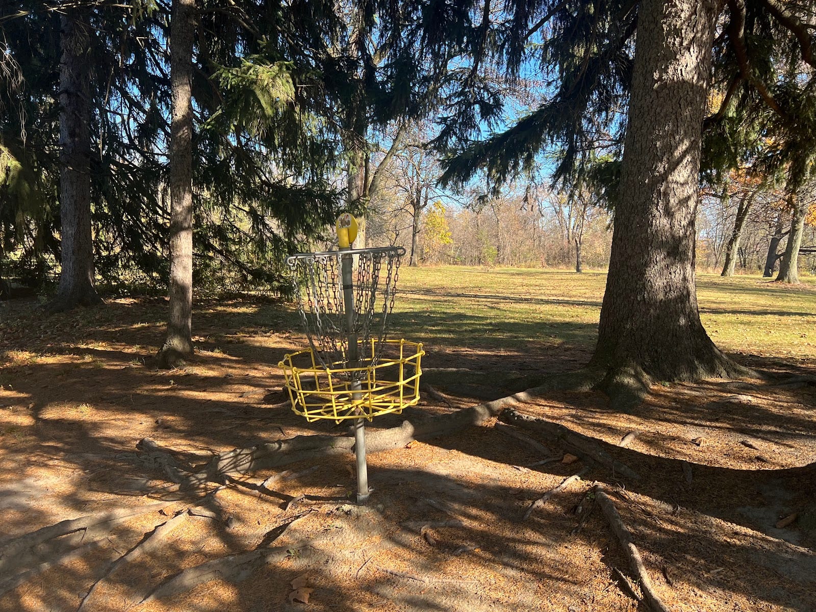 West Swinney Park Disc Golf Course