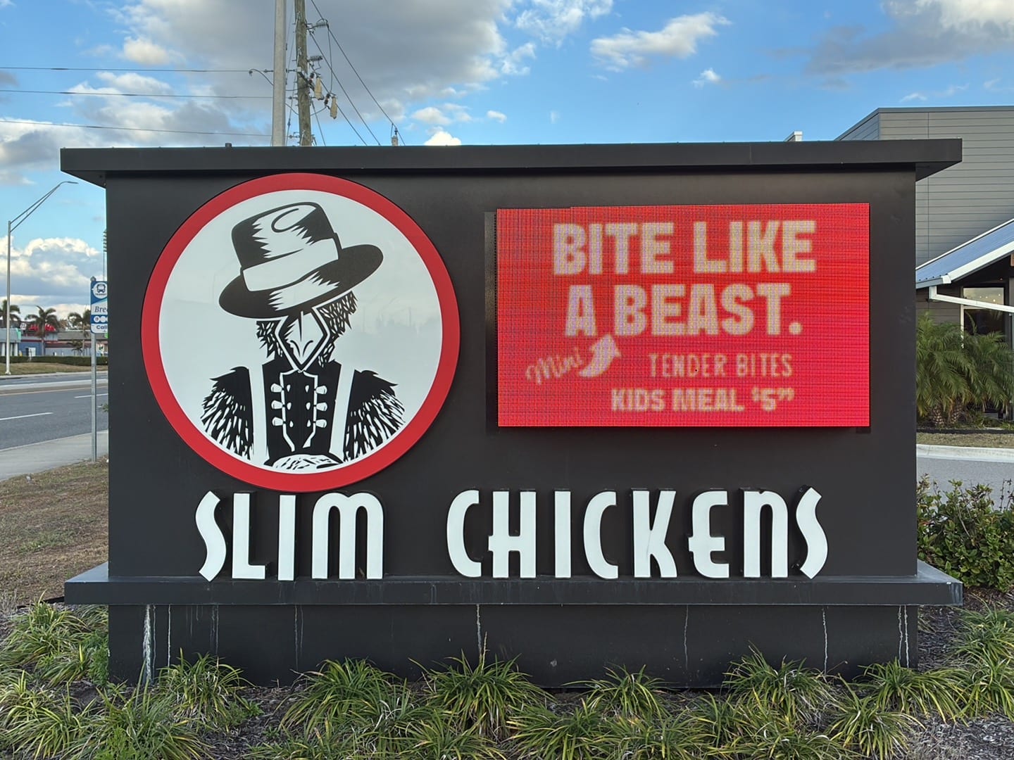 Slim Chickens, photo 3