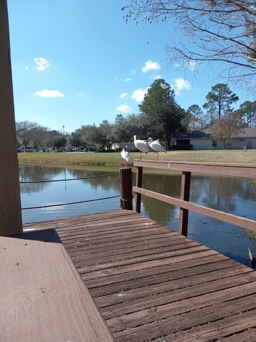 Cross Pines Park