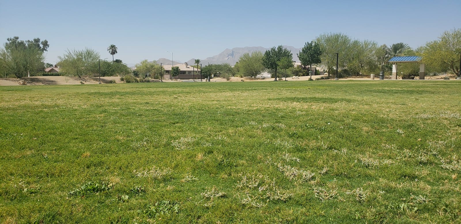 Raptor Play Park, photo 2