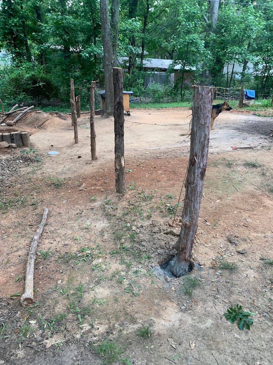 Scyph's Lawn & Landscaping LLC, photo 3