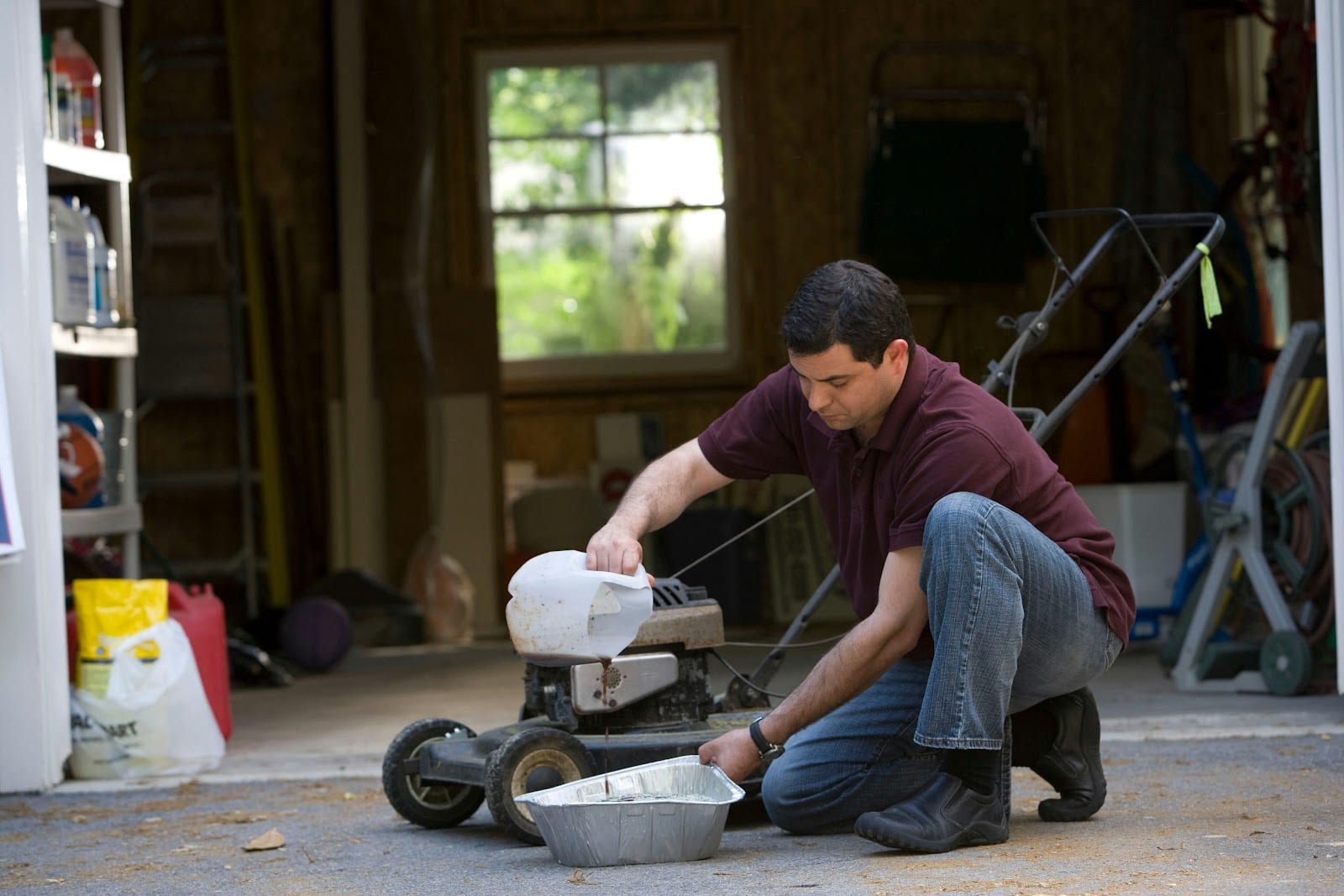 G & M Pest control Services, photo 3