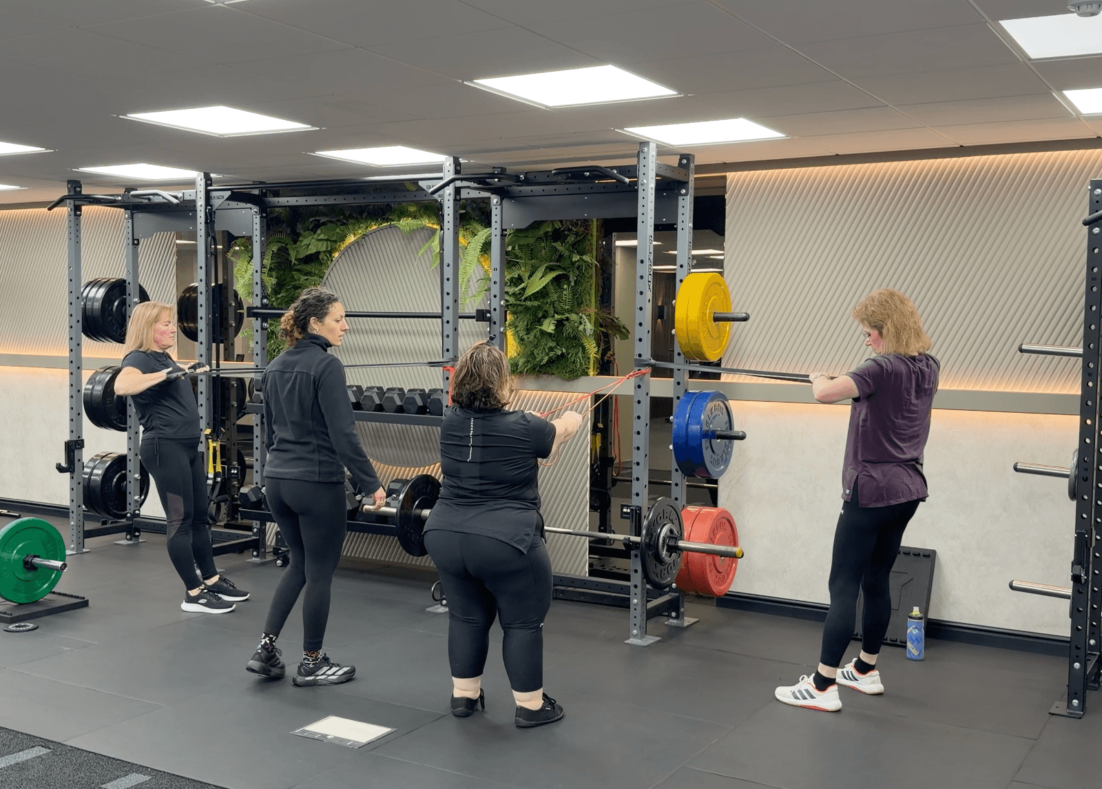 The Training Gyms St Albans