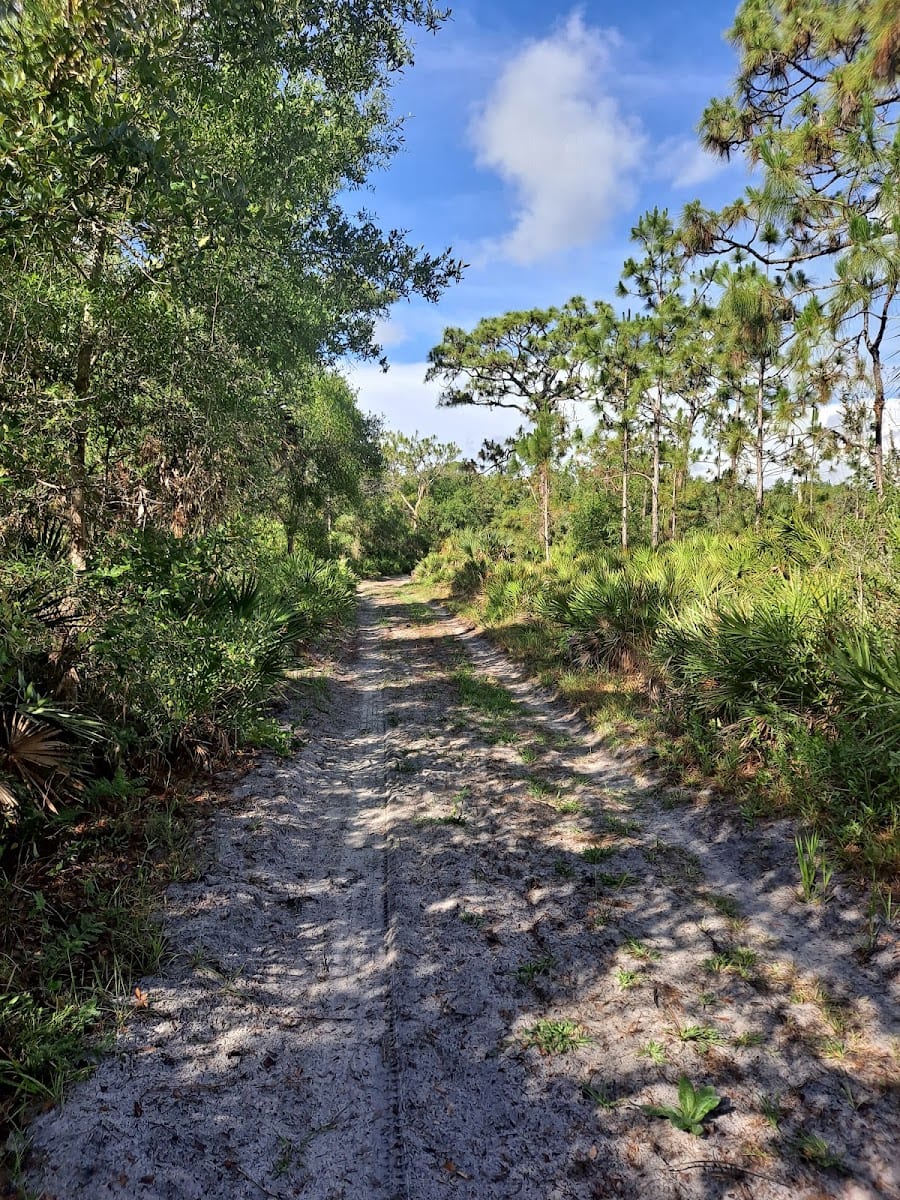 Shell Creek Preserve
