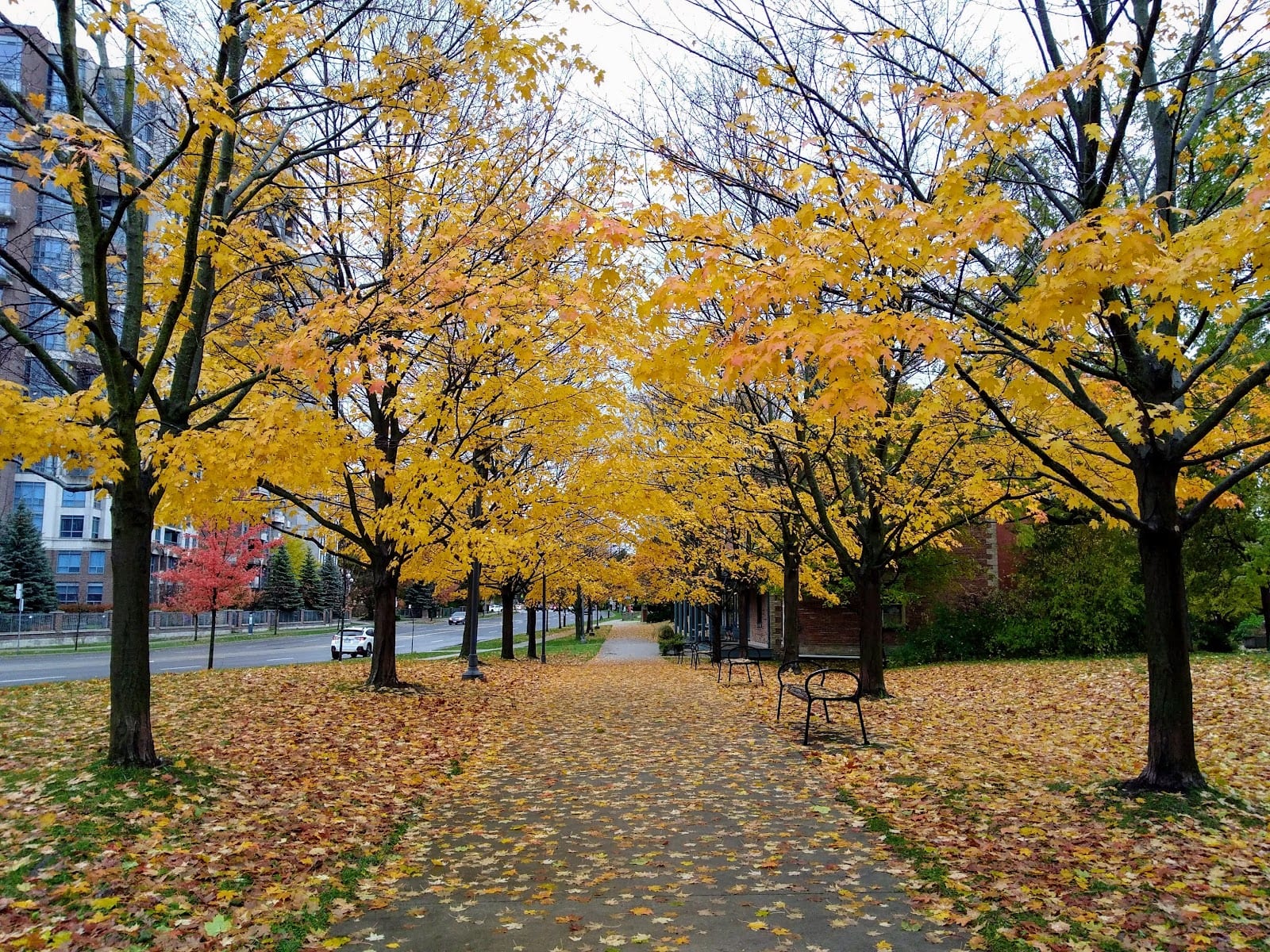 Dempsey Park, photo 3