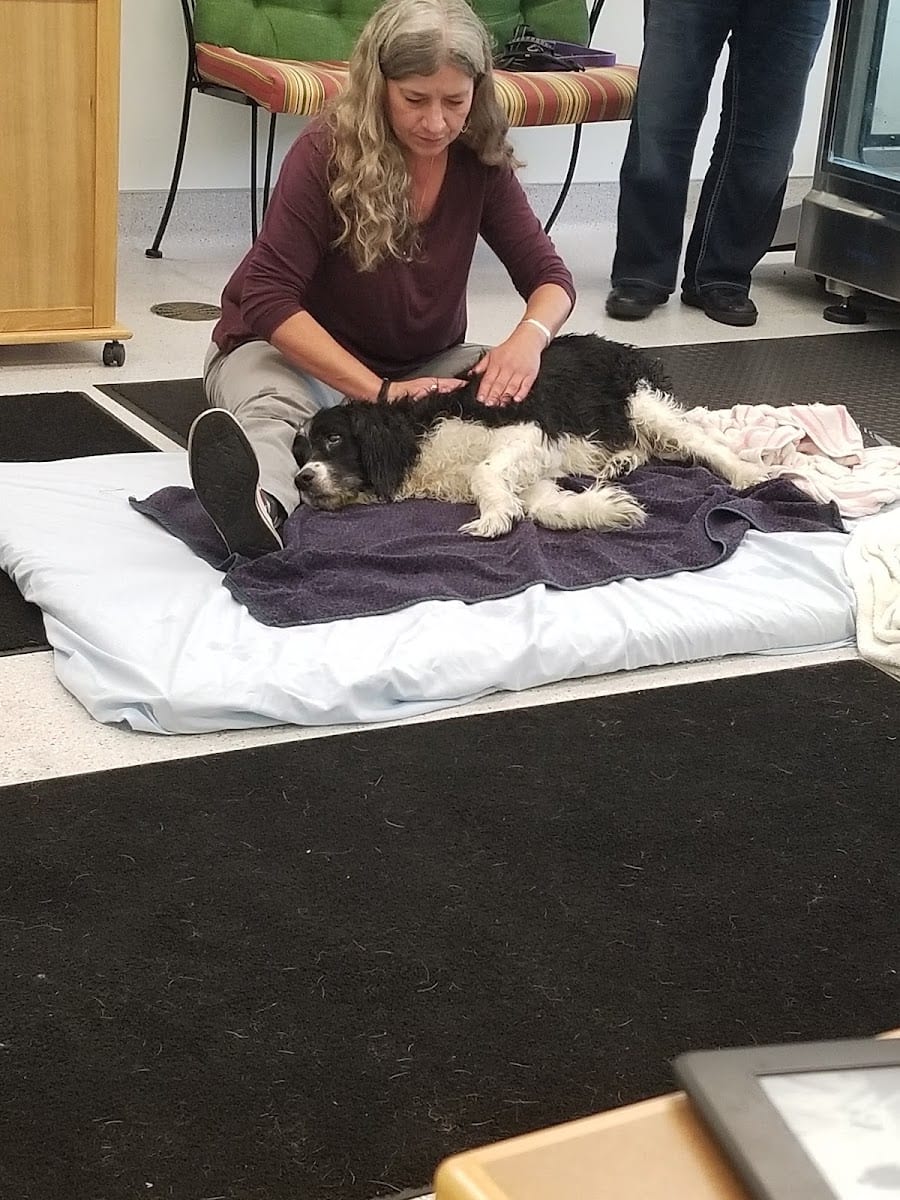 Four Paws Animal Rehabilitation, photo 3