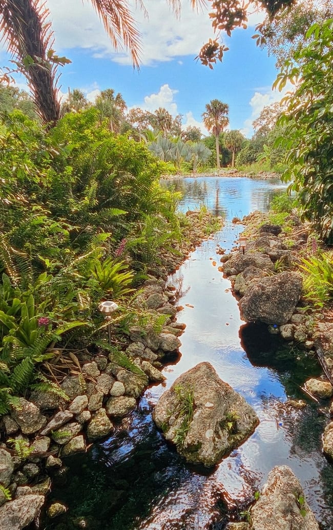 oasis on the loop, photo 3
