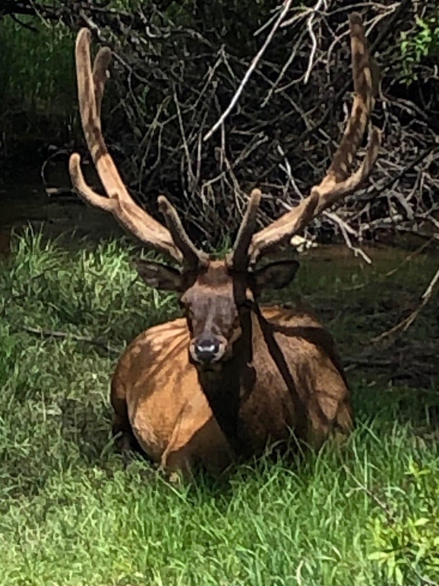 Mindy Stone - REALTOR, photo 3
