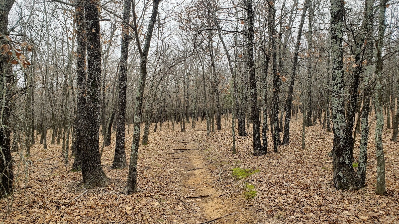 Isle du Bois DORBA Bike Trail