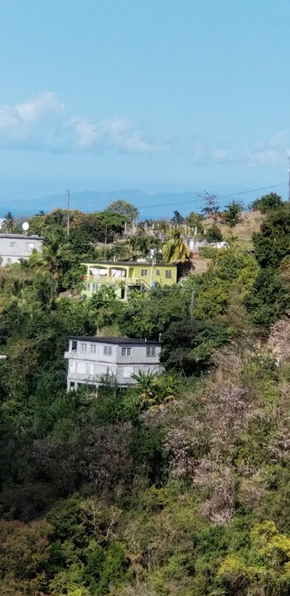 Old Sugar Mill Guest House