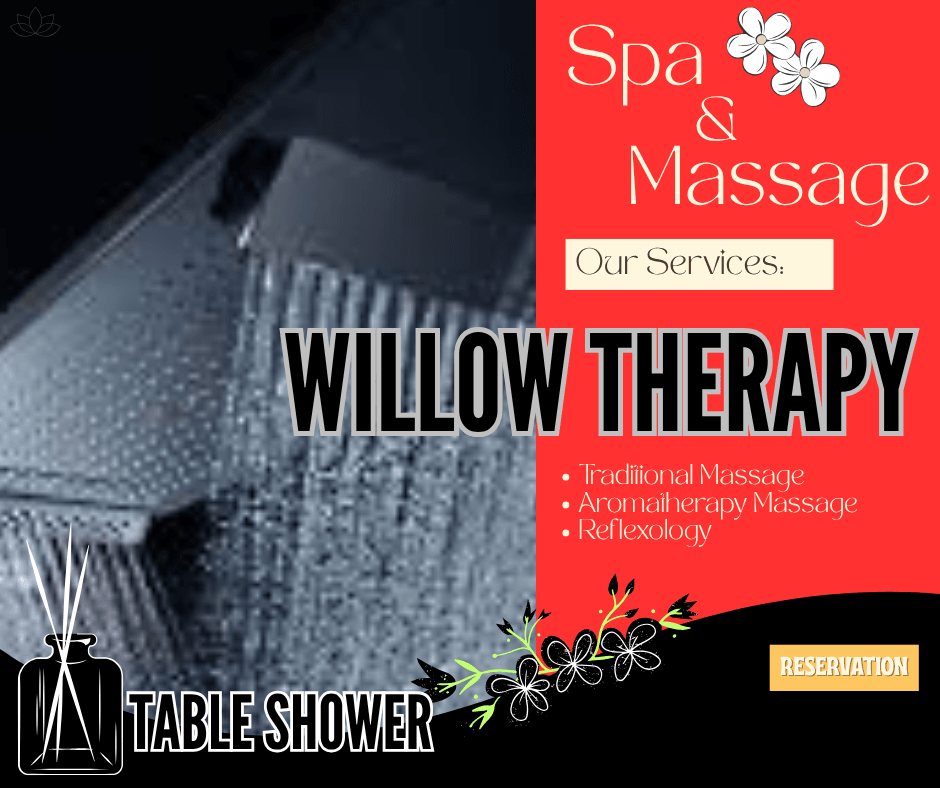 Willow Massage Therapy, photo 3