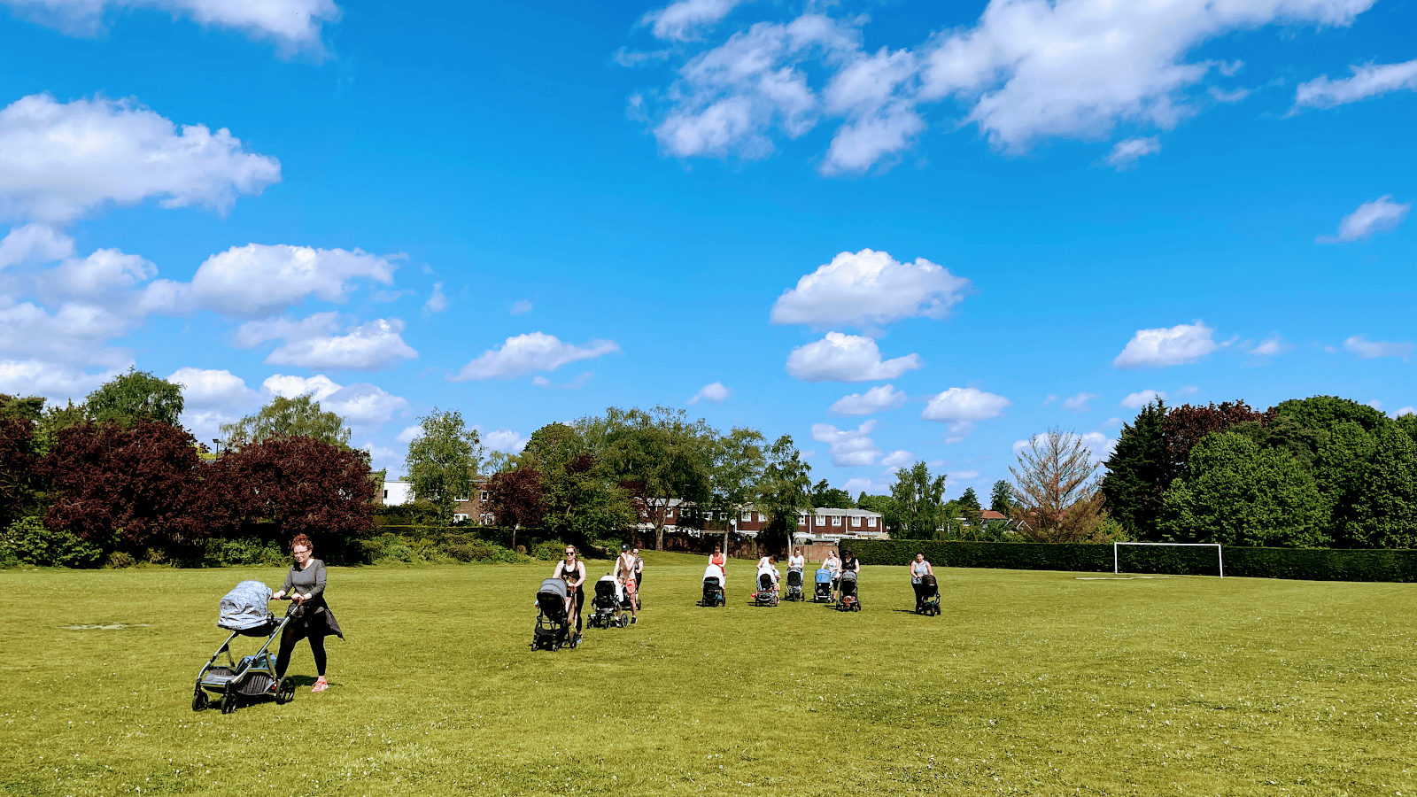 Safy Fitness, Norwich, Waterloo Park, Sewell Park Academy, photo 2