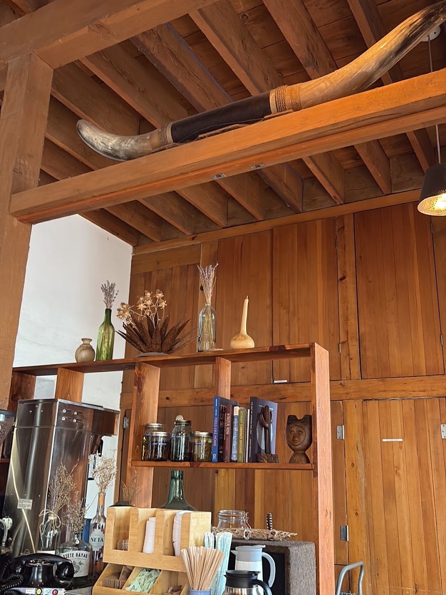 Bar Crisol/Exo