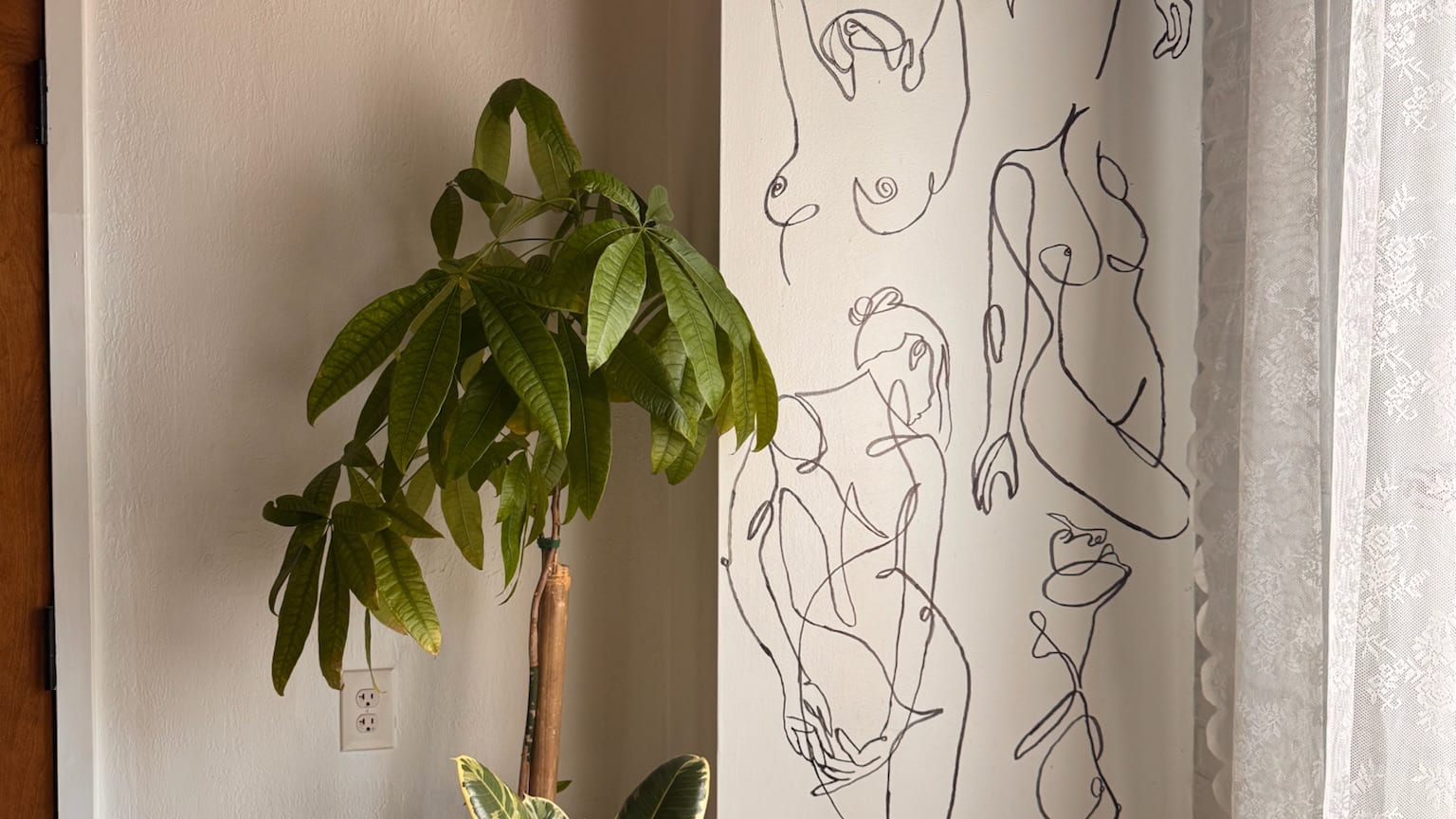 Bellus Studio, photo 2
