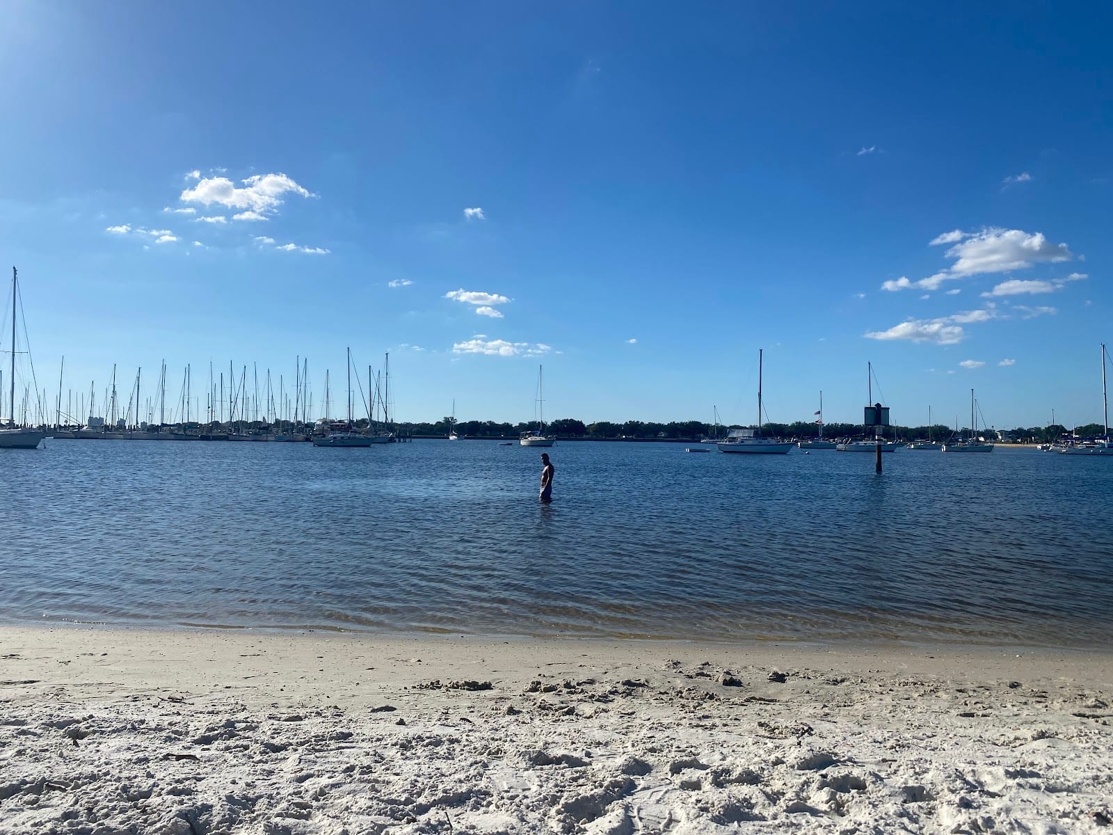 Davis Island Beach