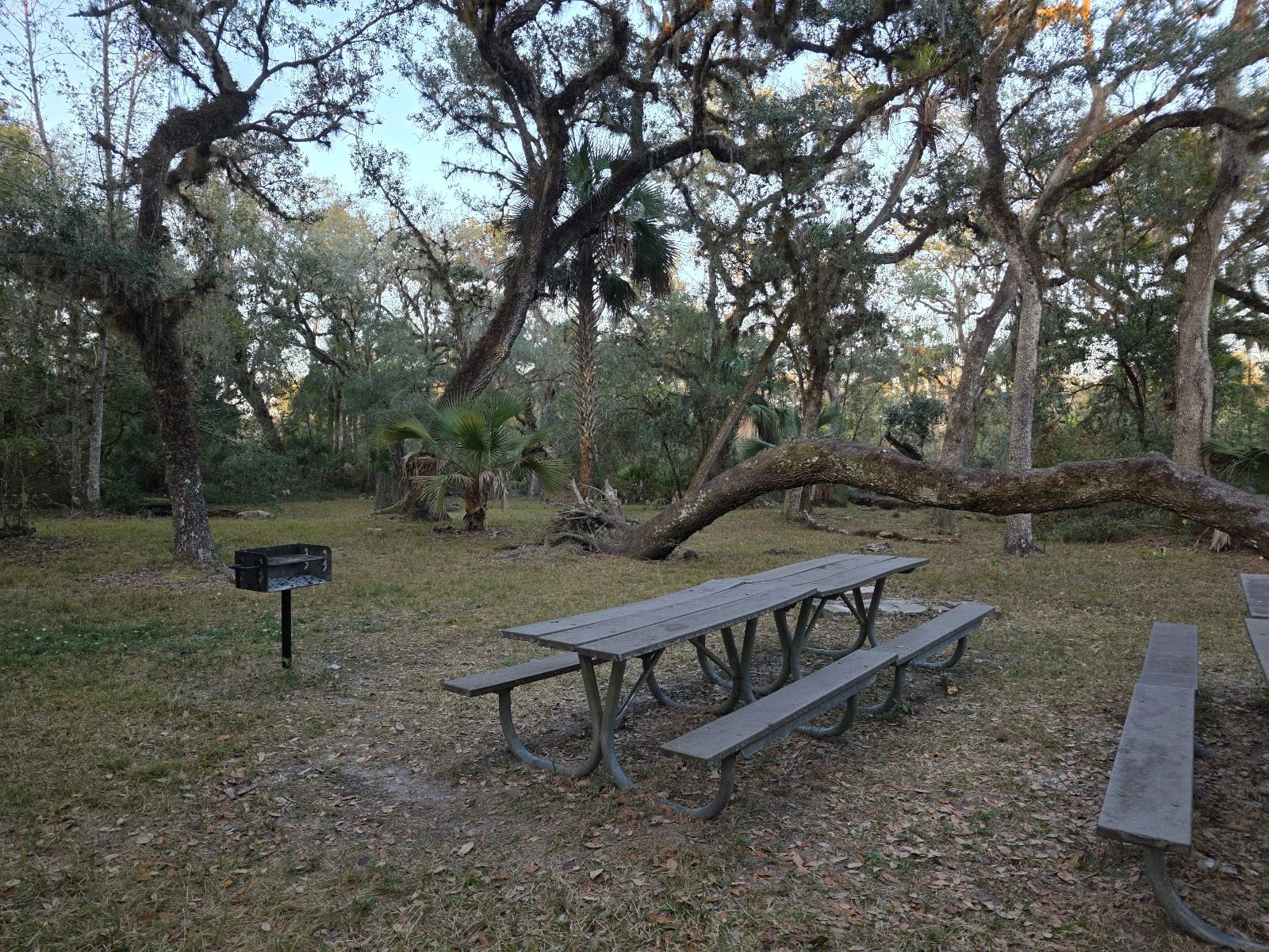 Tampa palms park, photo 3