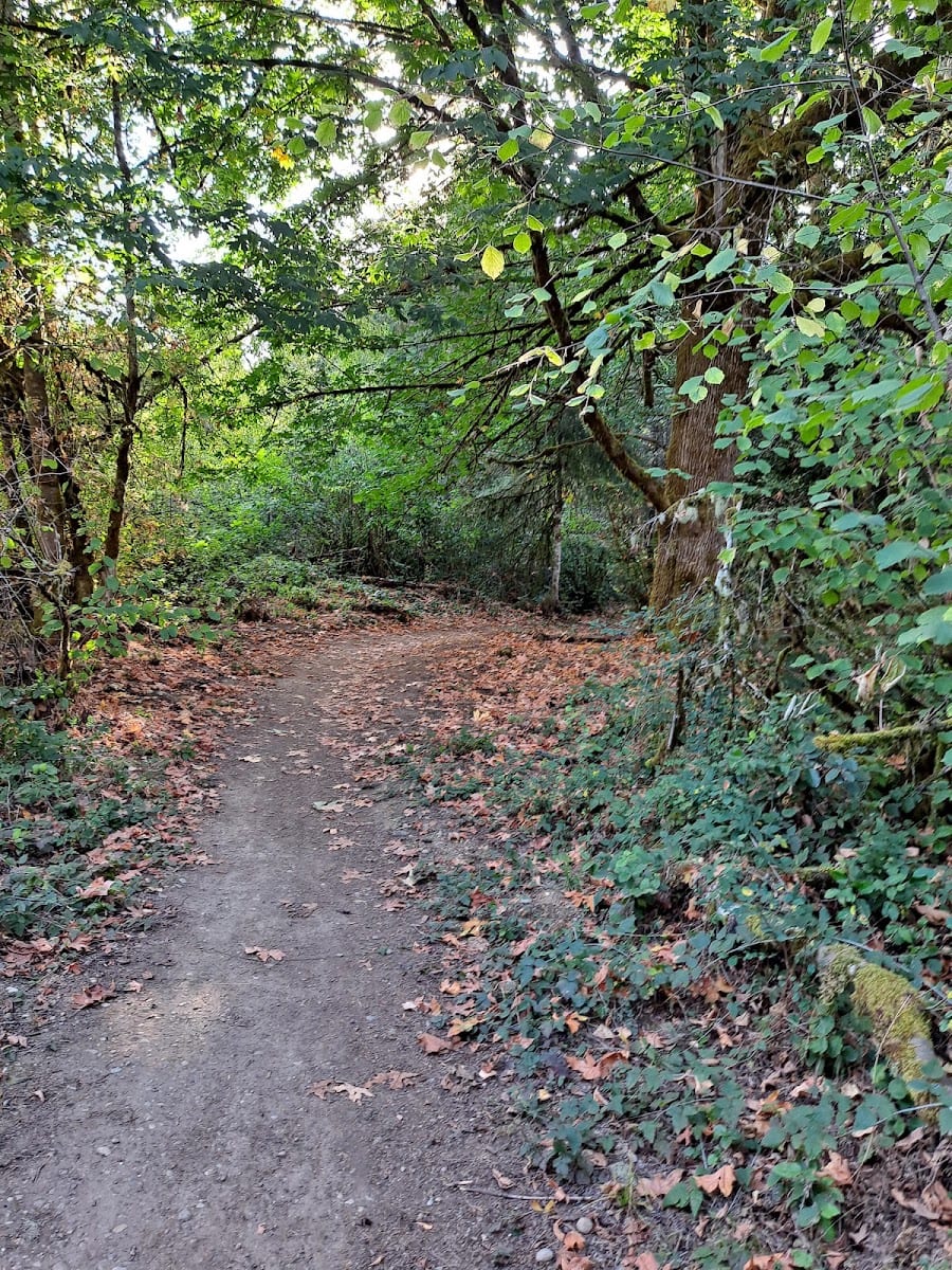 LBA Woods