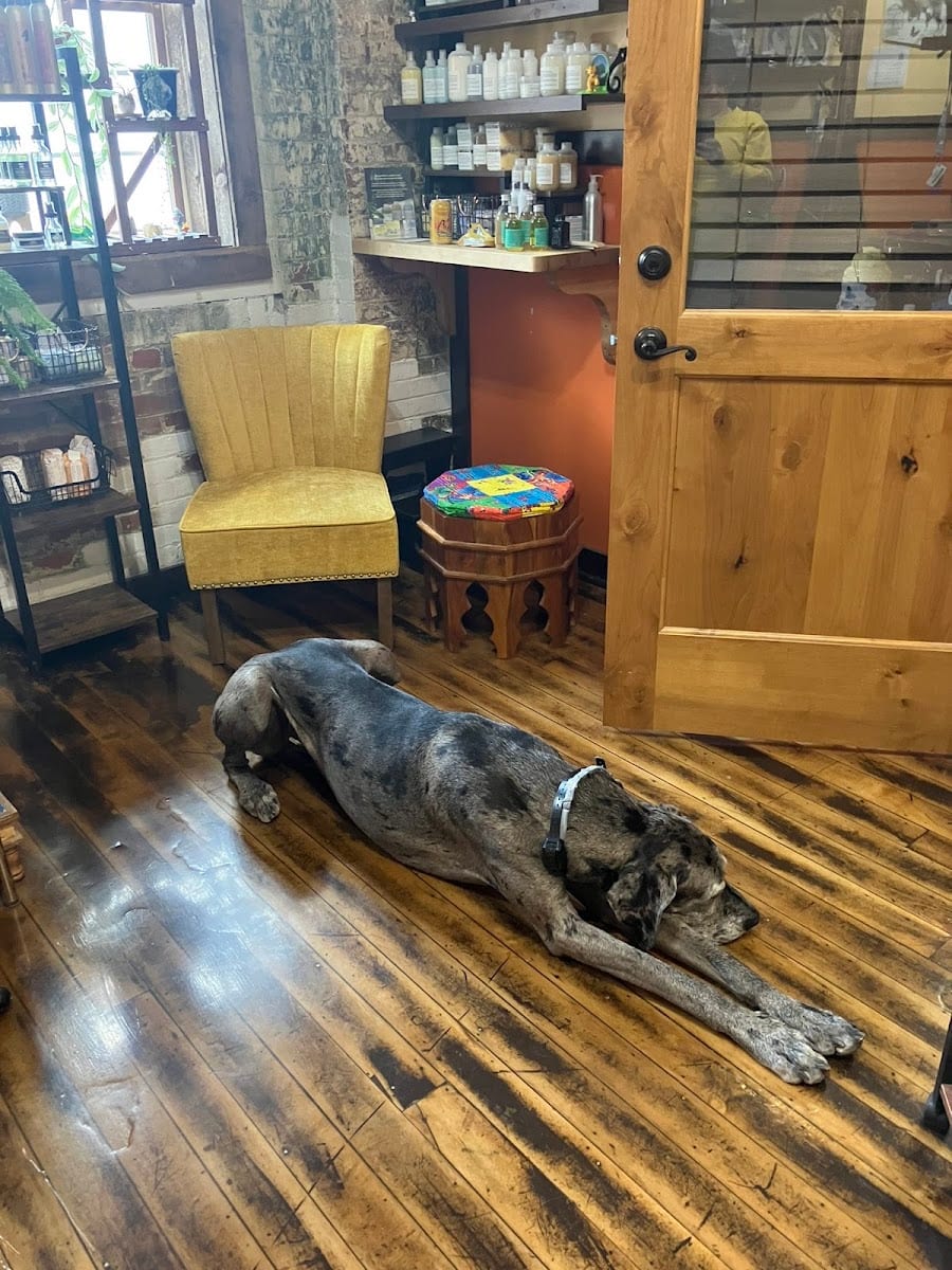 Dañeila's Sunshine Salon, photo 4