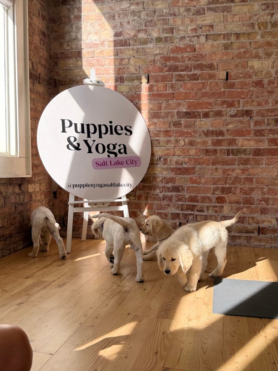 Puppy Yoga Salt Lake City (Puppies Yoga)