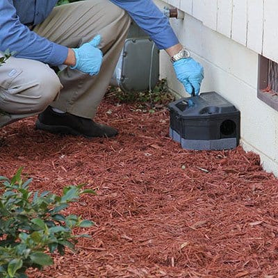 Curry's Termite, Pest & Animal Control