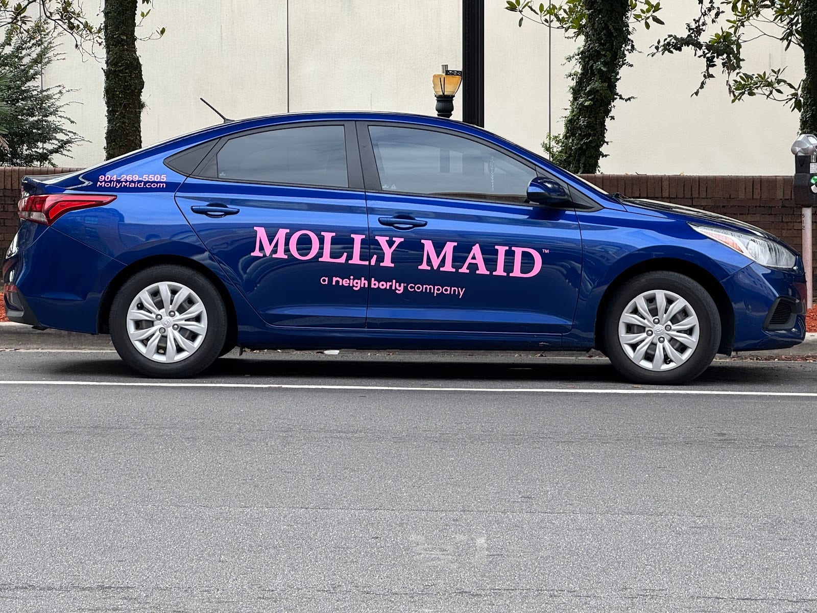 Molly Maid of Greater Jacksonville and Clay County