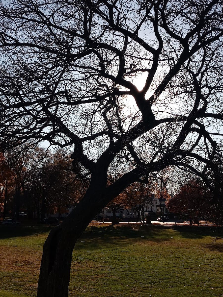 Hamilton Park, photo 2