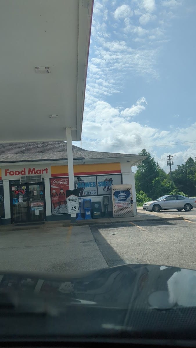 Shell, photo 4