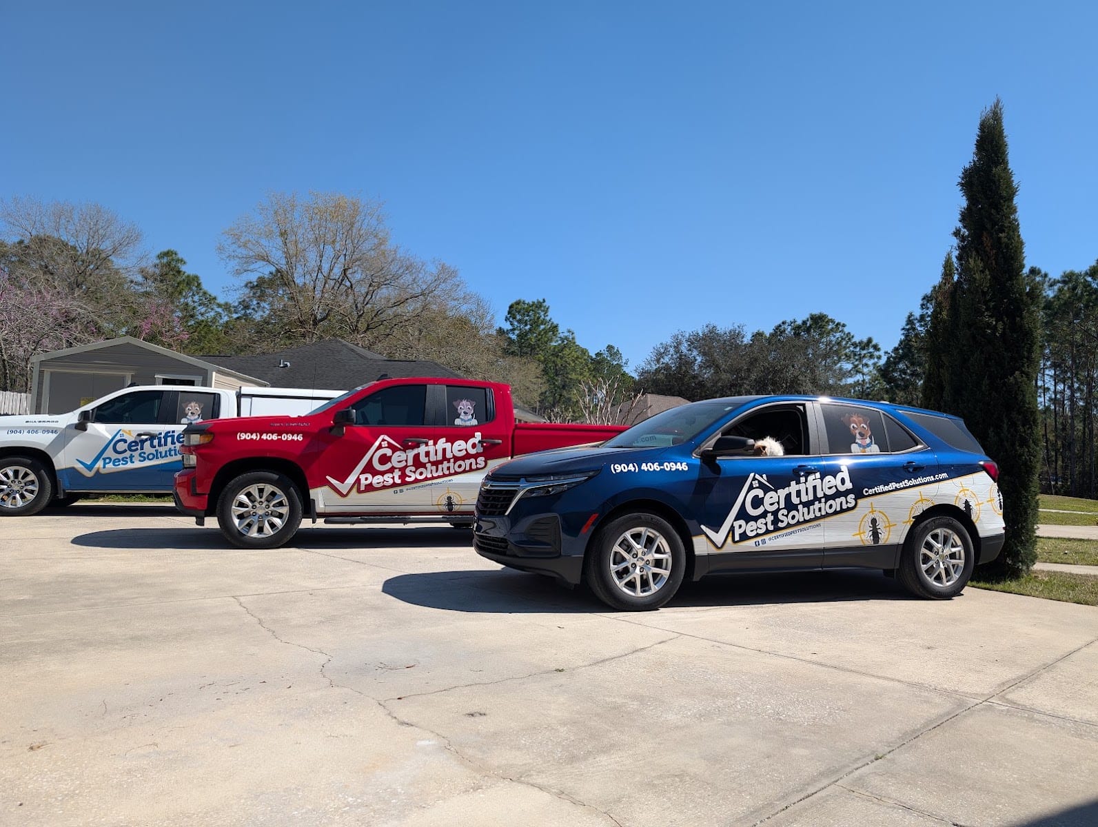 Certified Pest Solutions